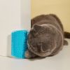 1pc Cat Wall Massage Hair Brush